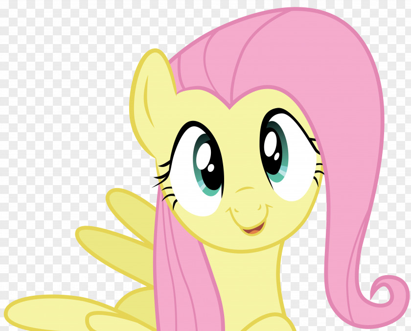 My Little Pony Fluttershy Rainbow Dash Twilight Sparkle Applejack PNG