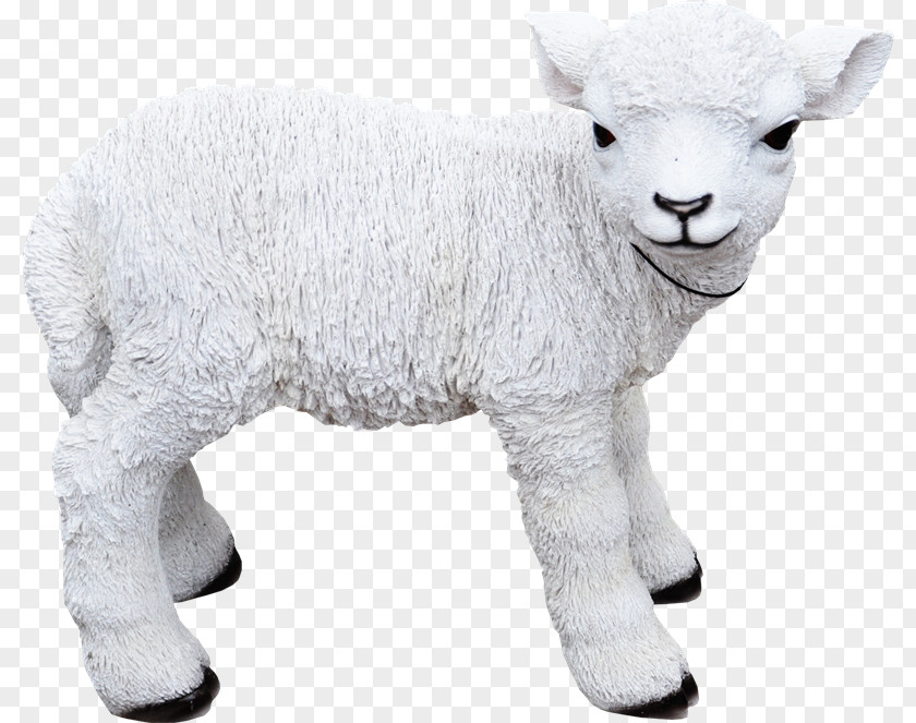 Oveja Sheep Goat Cattle Animal PNG