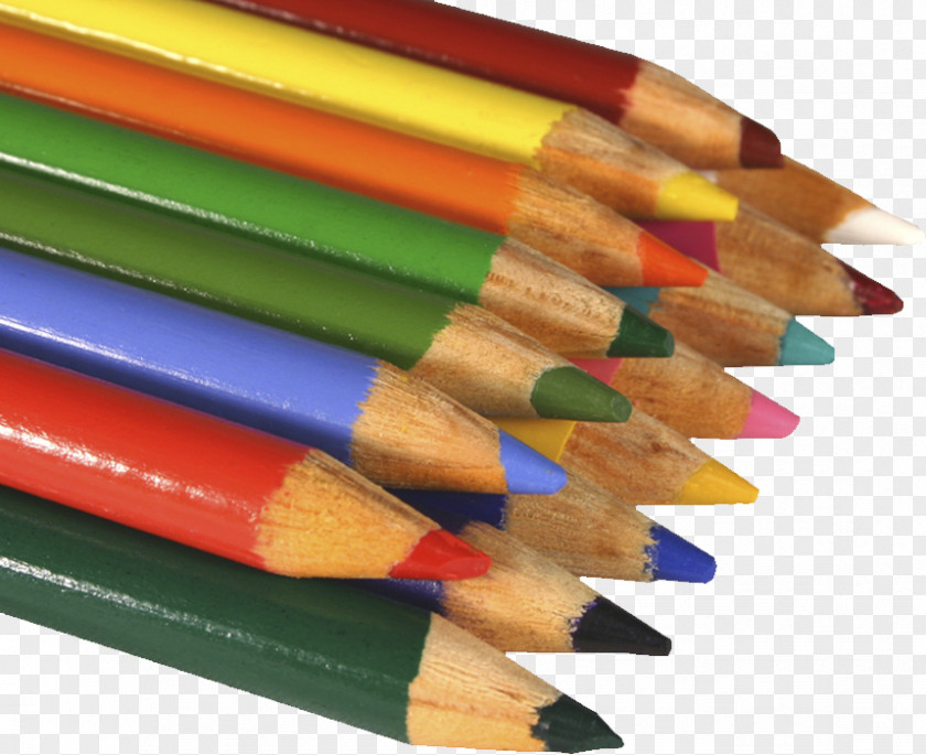 A Bunch Of Pencil Artist Drawing Painting PNG