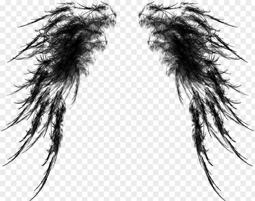 Buffalo Wings Крылья: избранное Sticker /m/02csf Bird Eye PNG
