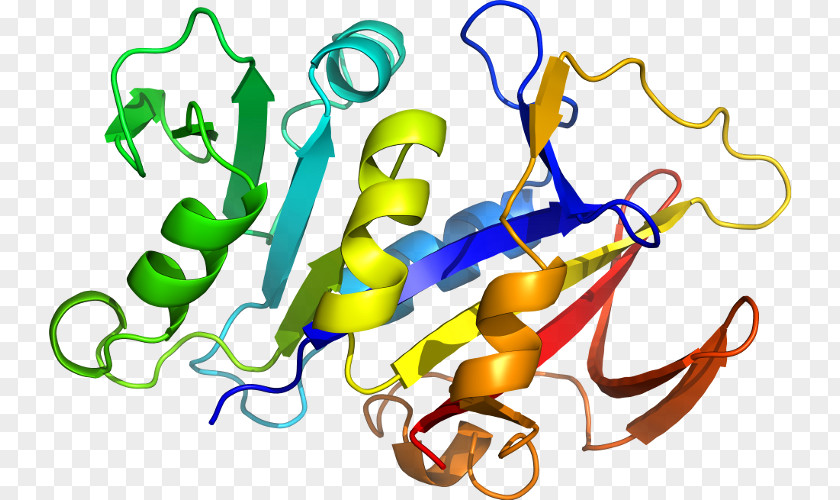 Eekamouse Interleukin-1 Family IL1B Interleukin 1 Receptor, Type I IL1A PNG