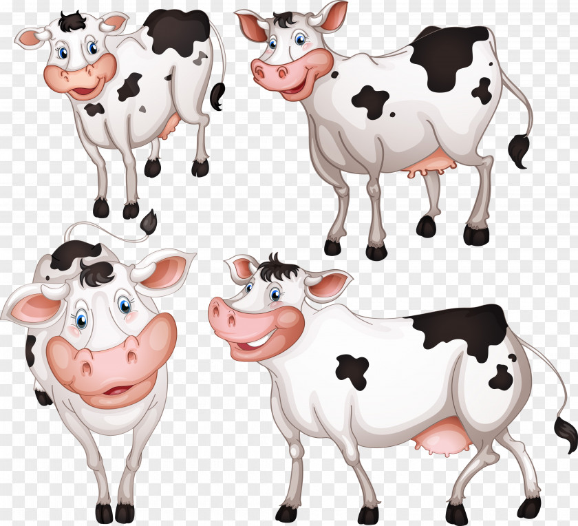 Animals Cows Holstein Friesian Cattle Dairy Livestock Farming PNG