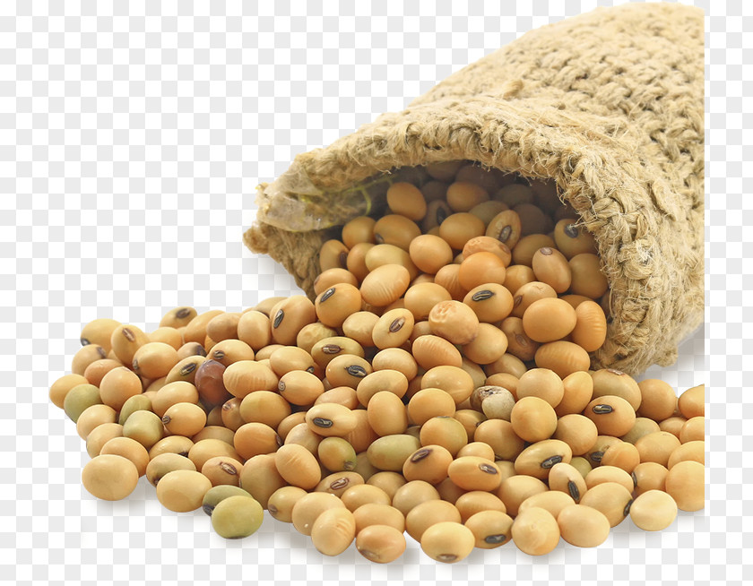 Beans Soybean Food Price United States Dollar Bushel PNG