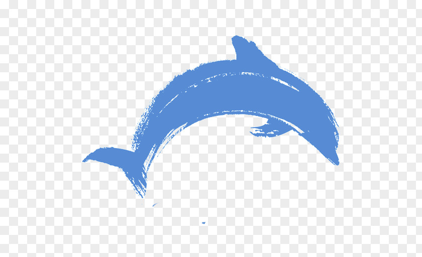 Dolphin Common Bottlenose Fish Sky Plc Font PNG