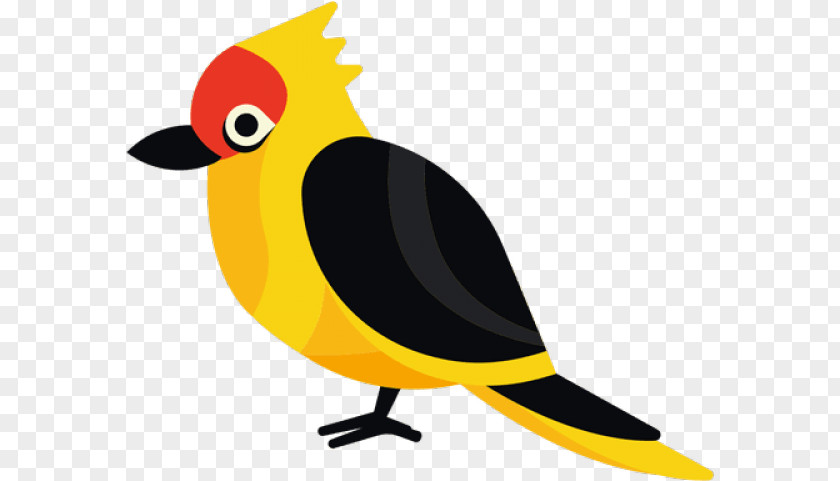 Old World Oriole Western Tanager Robin Bird PNG