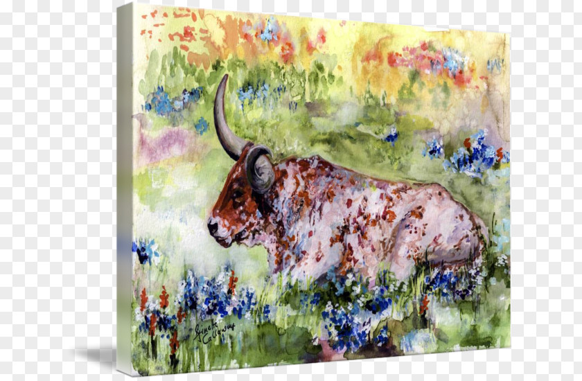 Painting Texas Longhorn Watercolor Art Canvas Print PNG