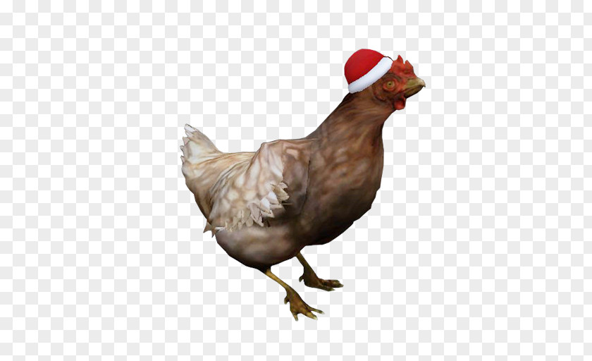 Chickens Counter-Strike: Global Offensive Source Team Fortress 2 Chicken PNG