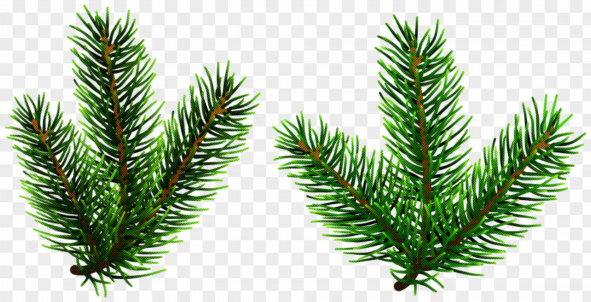 Christmas Tree PNG