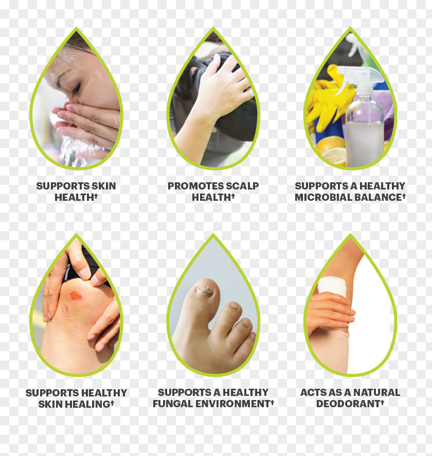 Design Cleanser Finger Rosacea Erythema PNG