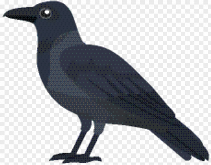 New Caledonian Crow Bird Cartoon PNG