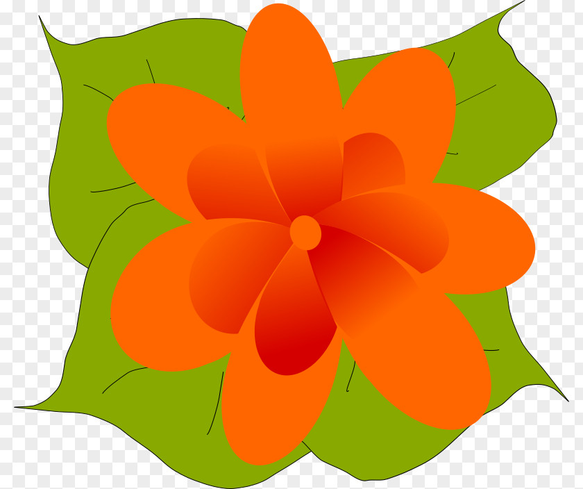 Orange Flowers Flower Leaf Clip Art PNG