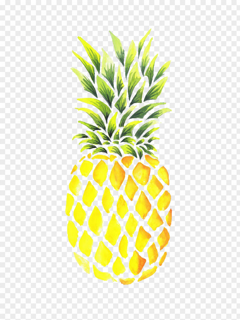 Pineapple Watercolor Painting Drawing Image PNG