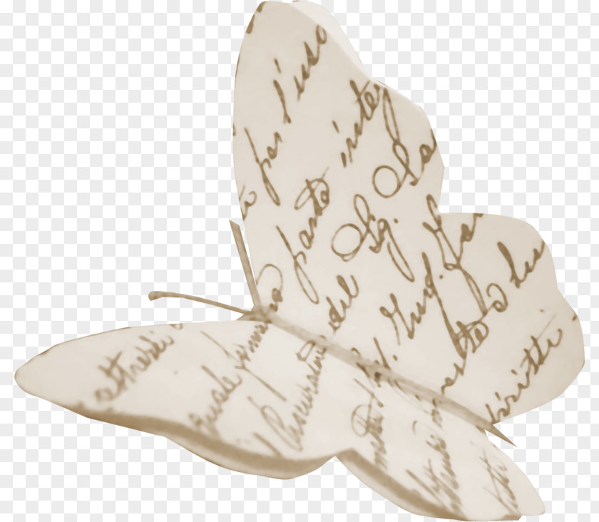 Plant Butterfly Leaf Drawing PNG