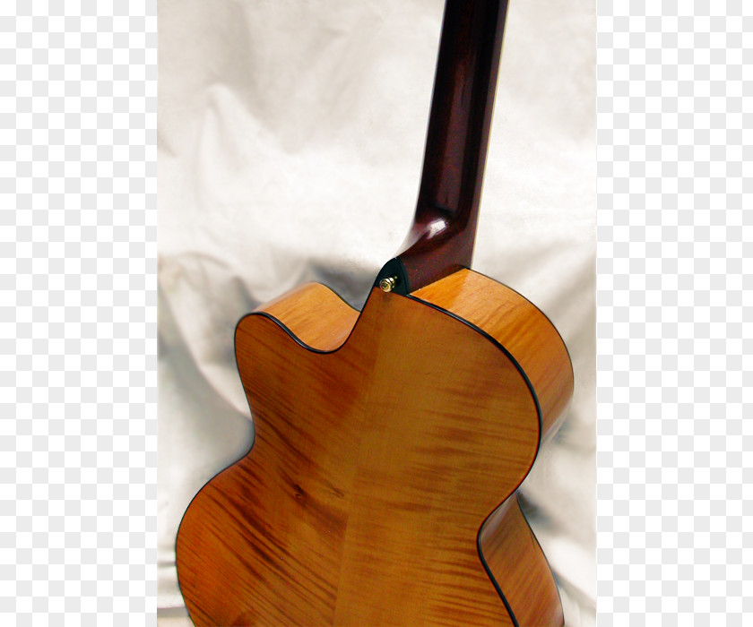 Acoustic Guitar Acoustic-electric Filippa Tiple Cuatro PNG