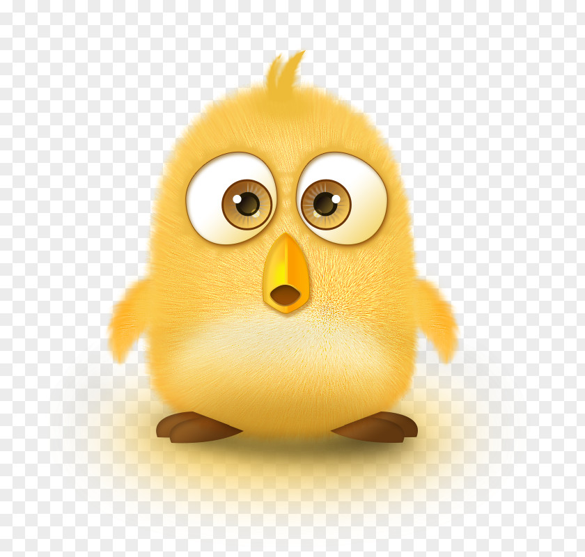 Chick Chicken Animation PNG