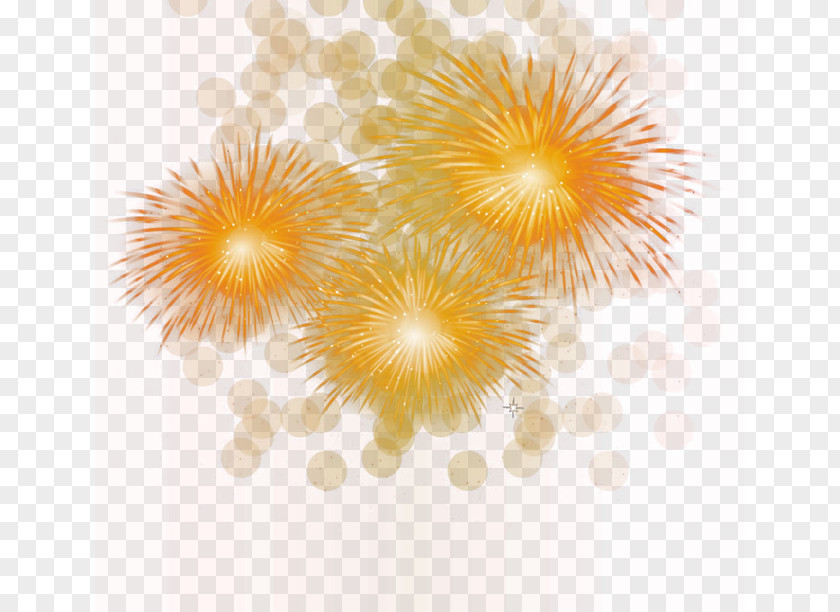 Fireworks Firecracker Wallpaper PNG