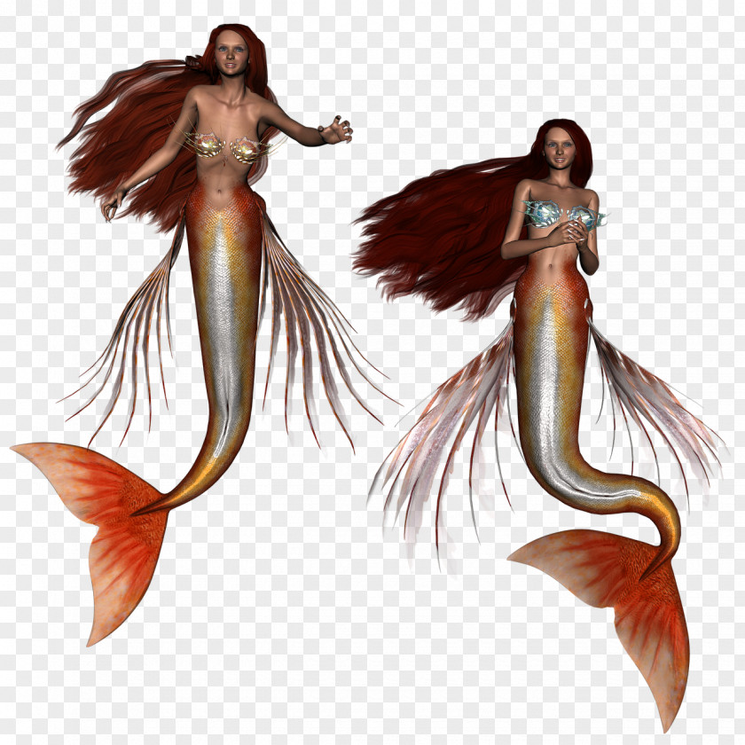 Mermaid Siren Image Library Fantasy PNG