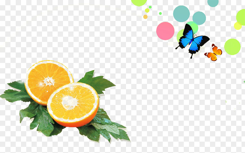 Orange Decorative Pattern Juice Desktop Wallpaper PNG