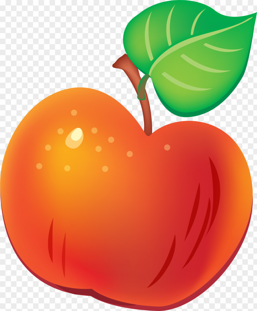 Red Cartoon Apple Learning Arabic With KATKUTI Learn To Draw Glow PNG