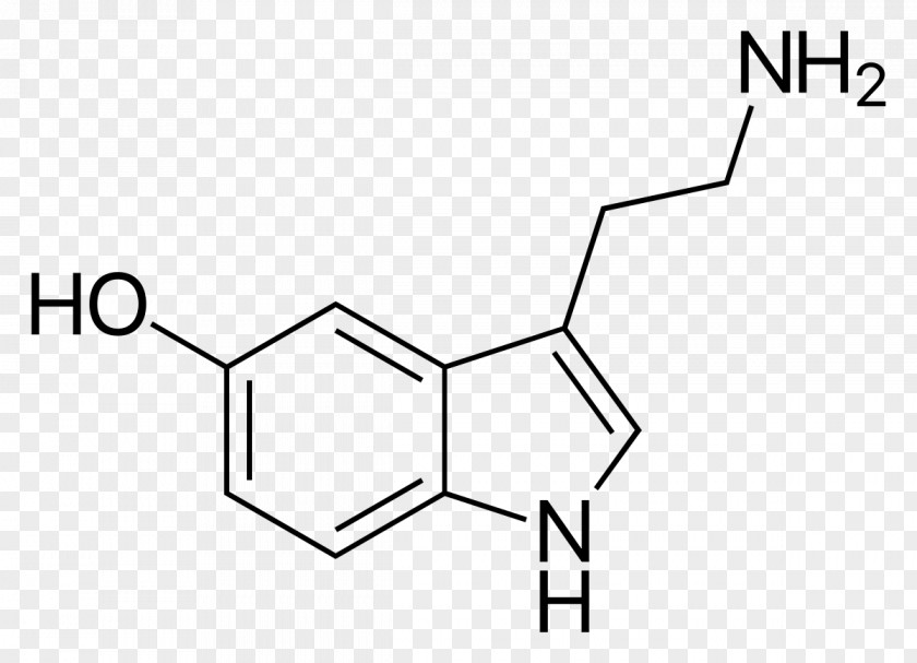 Serotonin Hormone Nervous System Neurotransmitter Indole PNG