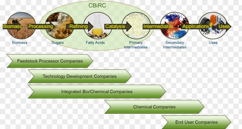 Value Chain Organization Chemical Industry PNG