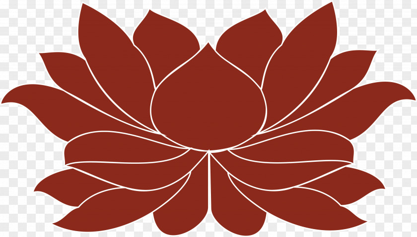 Design Petal Floral Symmetry Pattern PNG