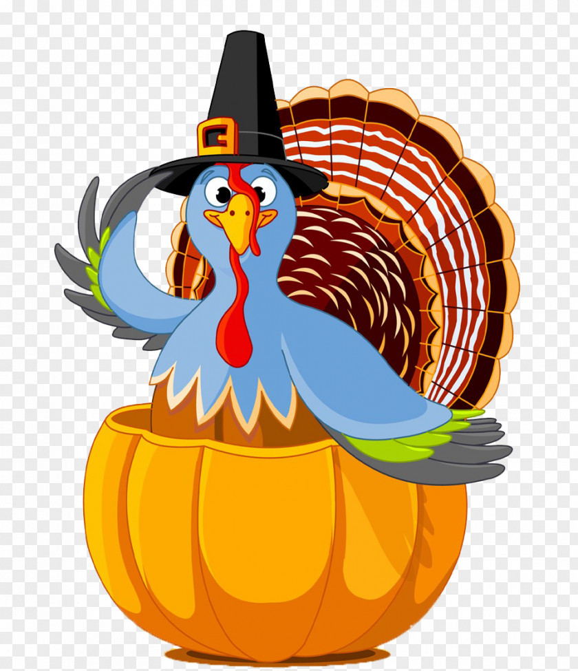 Free Thanksgiving Turkey Buckle Material Day Public Holiday Clip Art PNG