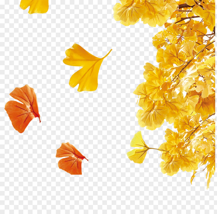 Autumn Leaves Poster Sales Promotion PNG