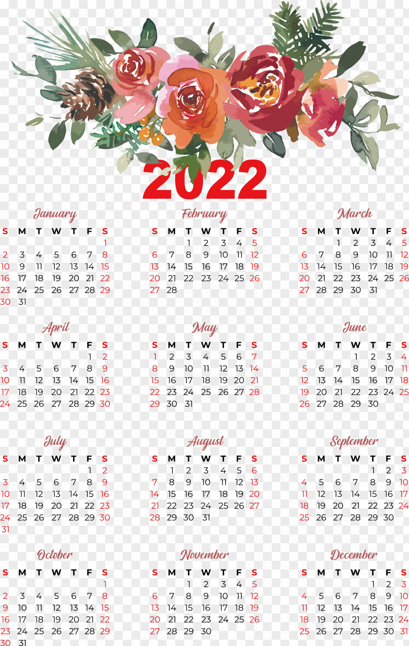 Calendar Meter Plant Biology Science PNG