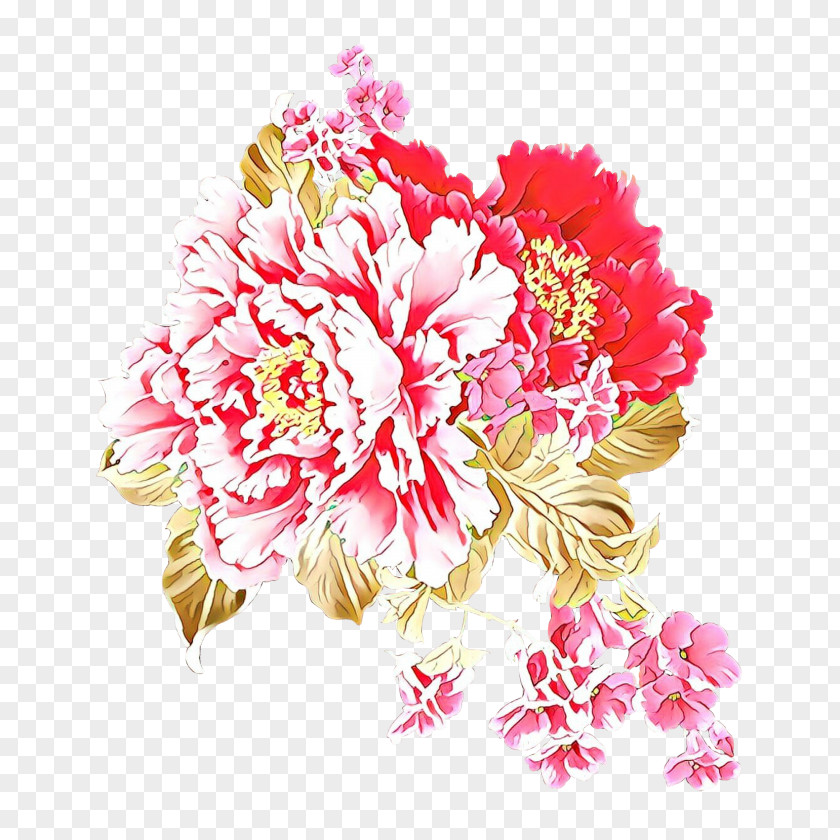 Chinese Peony Petal Flower Cut Flowers Pink Carnation PNG