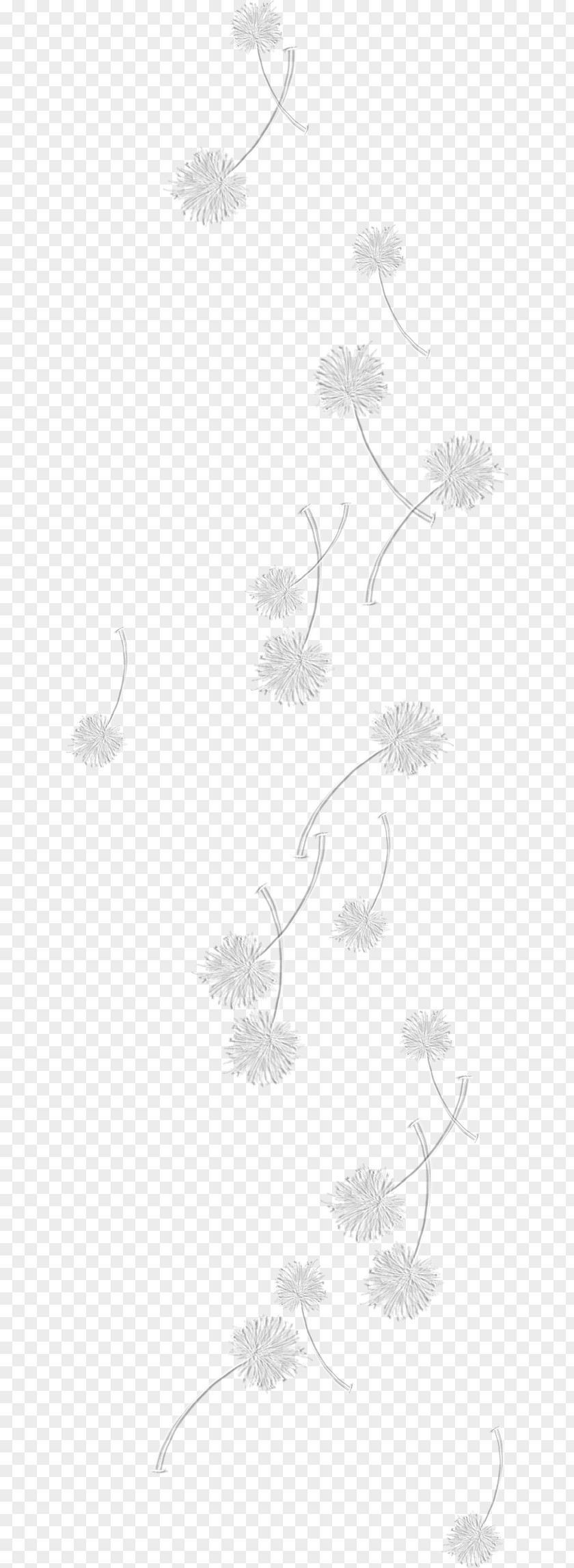 Dandelion Paper White Black Pattern PNG
