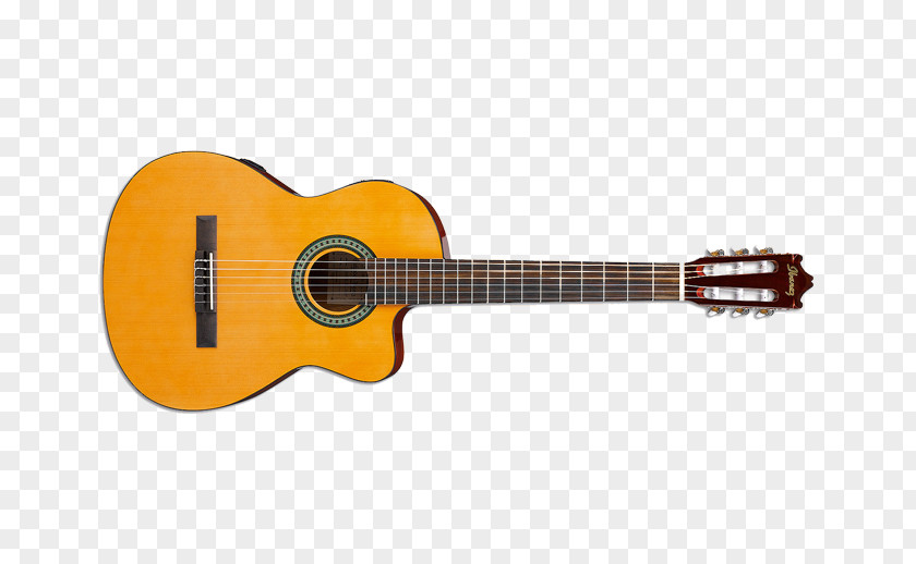 Electric Guitar PRS Guitars SE Santana Fender Stratocaster PNG