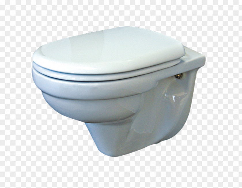 Gazania Toilet & Bidet Seats Plumbing Fixtures Vitreous China PNG