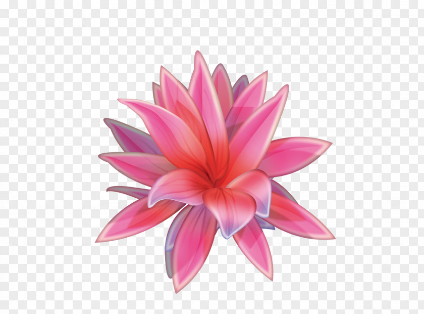 Lotus Watercolor Painting Chinese PNG