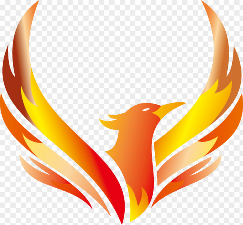 Phoenix Logo Vector Design Illustration PNG