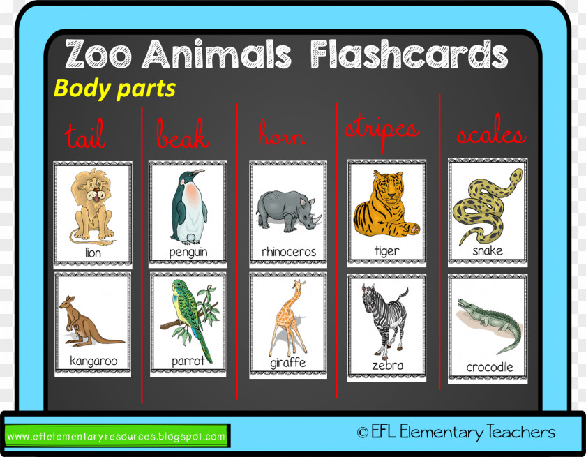 Zoo Part English As A Second Or Foreign Language English-language Learner Learning Vocabulary PNG