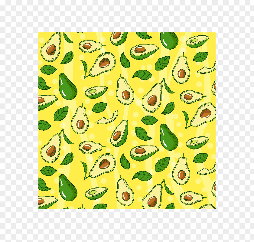 Avocado Vector Graphics Stock Illustration Clip Art PNG