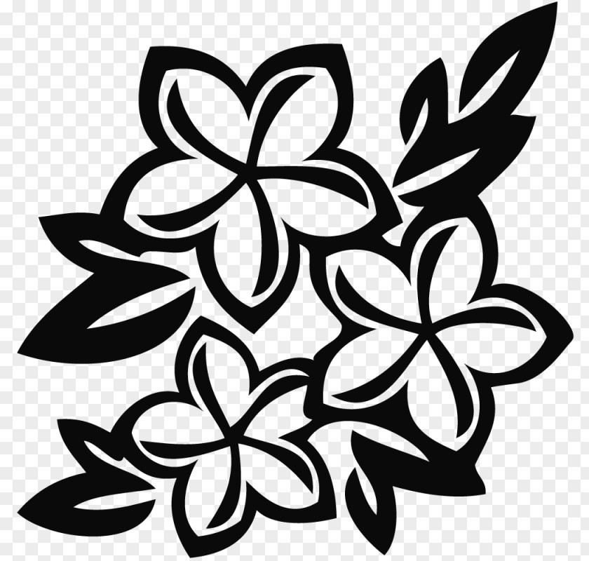 Black Flower Border And White Drawing Clip Art PNG