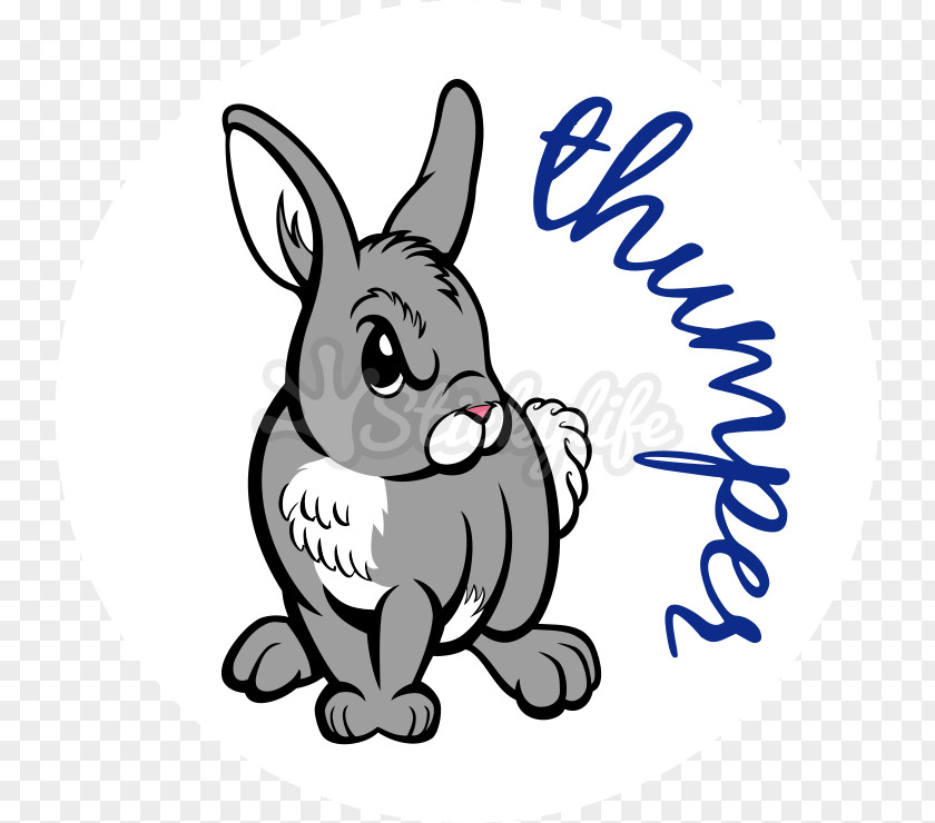 Car Domestic Rabbit Hare /m/02csf PNG