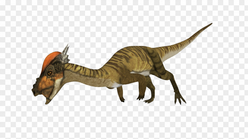 Dinosaur Velociraptor Stygimoloch Tyrannosaurus Google Sites Search PNG
