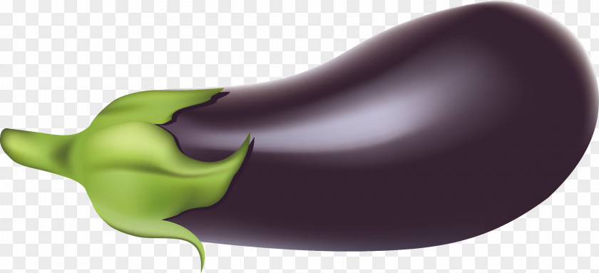 Eggplant Vector Organism Purple PNG