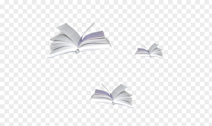 Flying Books Preview Icon PNG