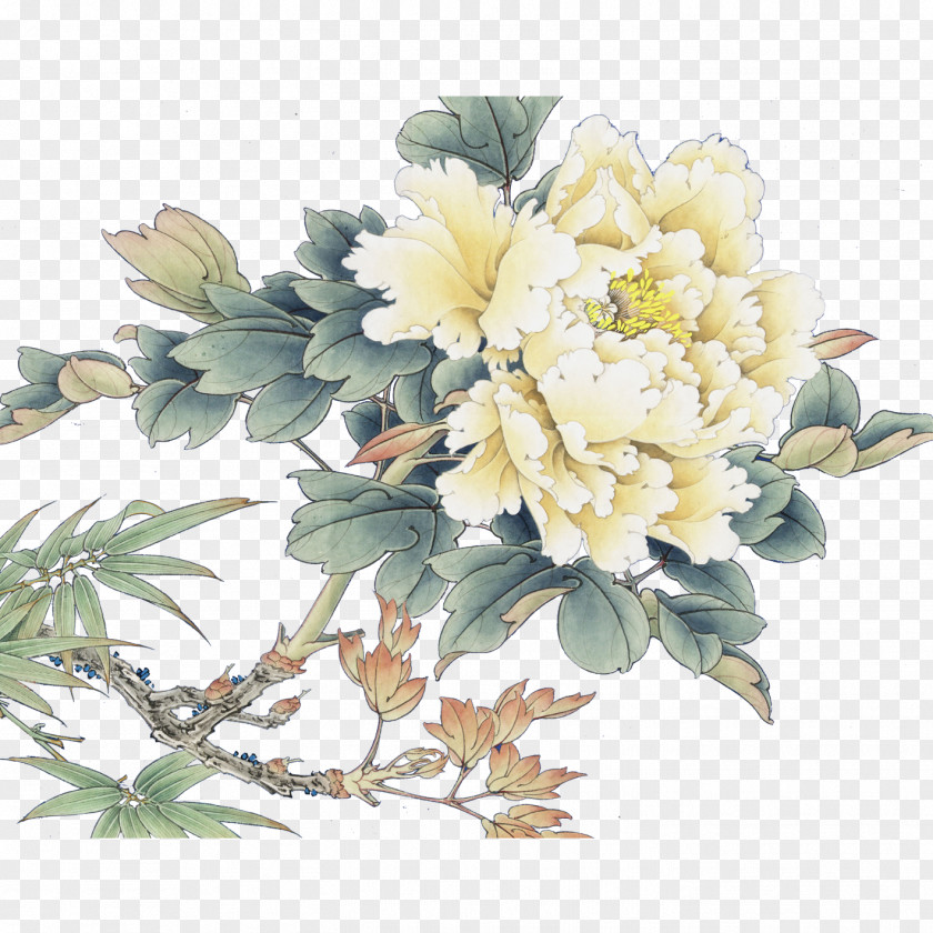 Peony Floral Design PNG