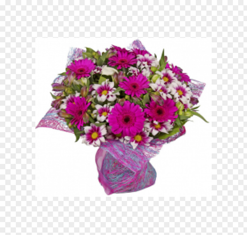Rozmarin Transvaal DaisyFlower Floral Design Flower Bouquet Tsvety Mytishchi PNG