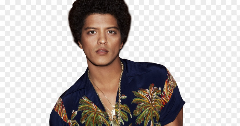 Vanessa Bruno Mars Musician Singer-songwriter Photography PNG