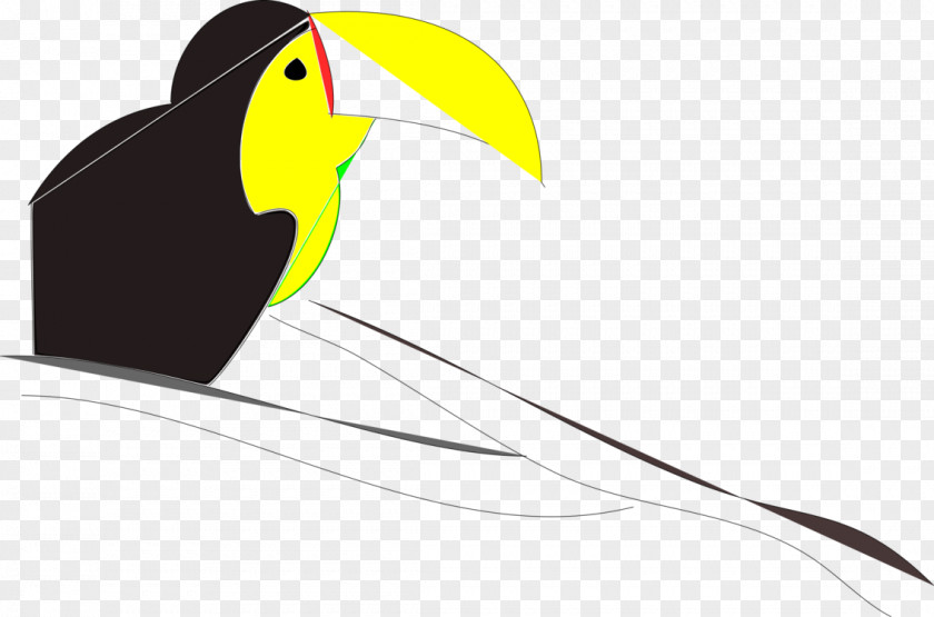 Bird Toucan Clip Art Beak Parrot PNG