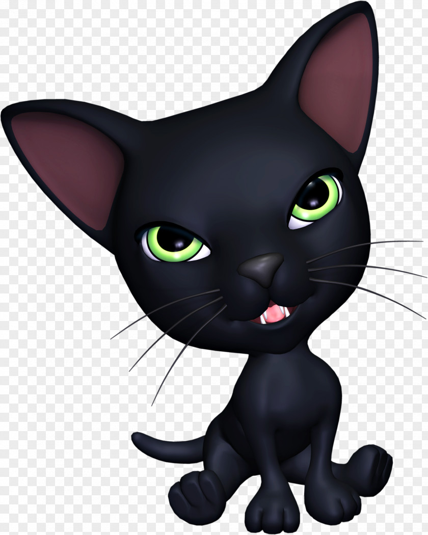 Halloween Havana Brown Korat Clip Art PNG