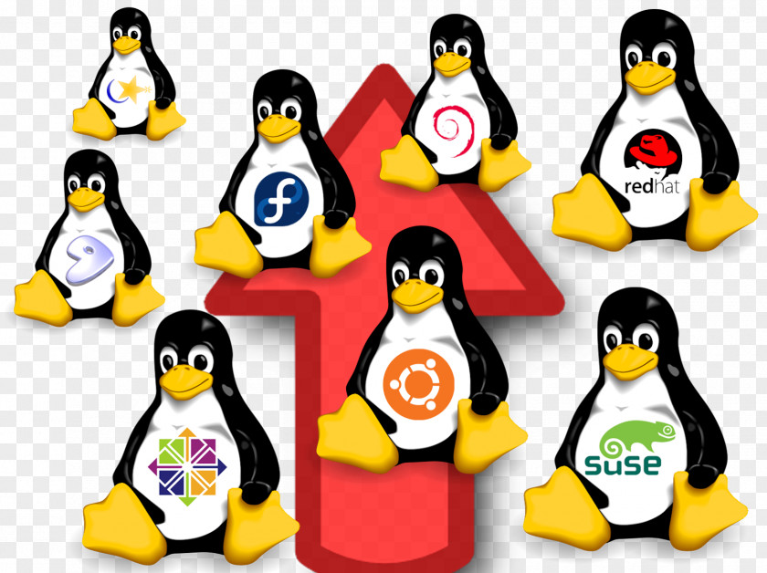 Linux Comparazione Tra Microsoft Windows E MacOS Unix PNG