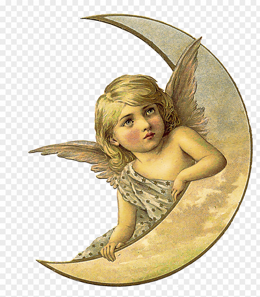 Mythical Creature Mythology Angel Fictional Character Supernatural Wing PNG