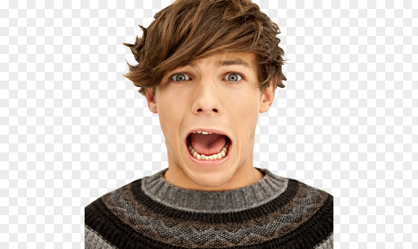 One Direction Louis Tomlinson Up All Night Tour The X Factor PNG
